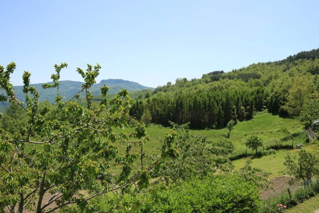 La Sala Vecchia - Lovely Tuscan Holiday House Badia Prataglia, Casentino Valley Chiusi della Verna Kültér fotó