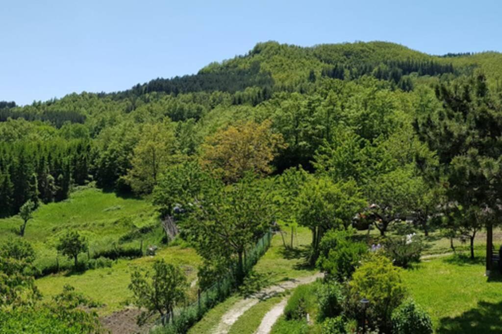 La Sala Vecchia - Lovely Tuscan Holiday House Badia Prataglia, Casentino Valley Chiusi della Verna Kültér fotó