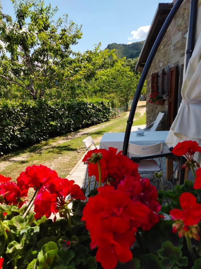 La Sala Vecchia - Lovely Tuscan Holiday House Badia Prataglia, Casentino Valley Chiusi della Verna Kültér fotó